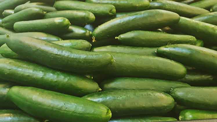 Franse Komkommersalade